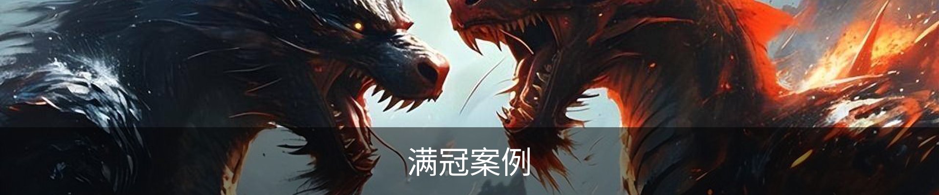 满冠案例