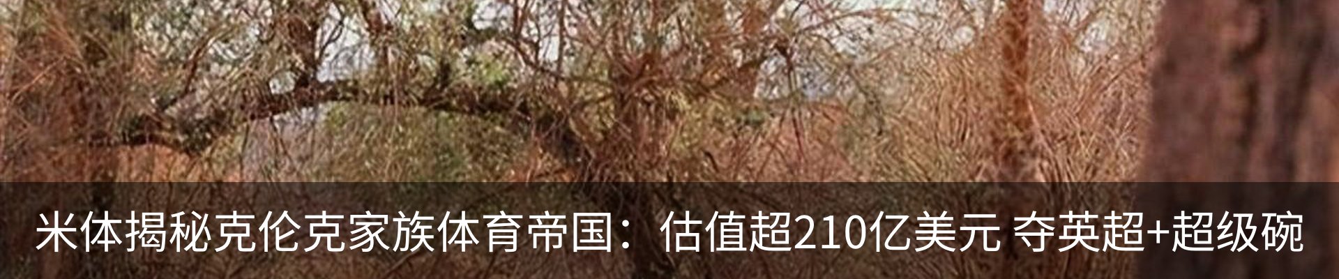 资讯中心